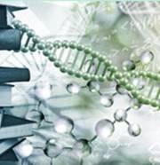 Latest Articles Latest Articles